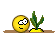 71